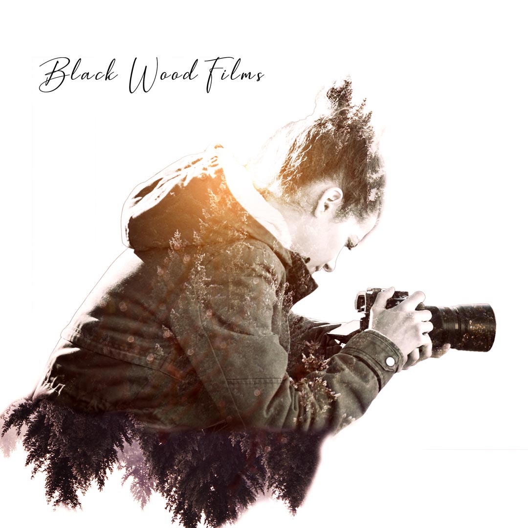 Présentation | Black Wood Films